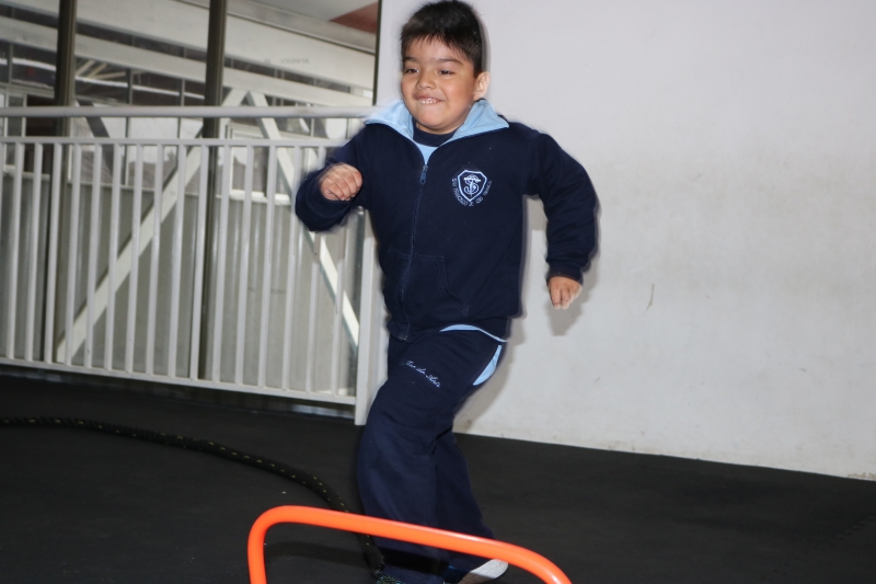 Día de la Actividad Física